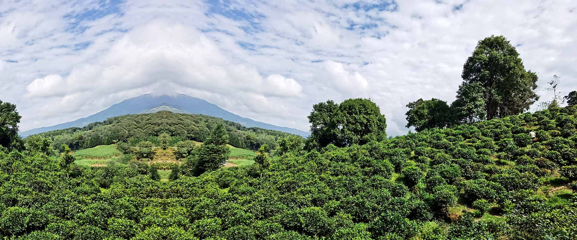 不銹鋼管廠家